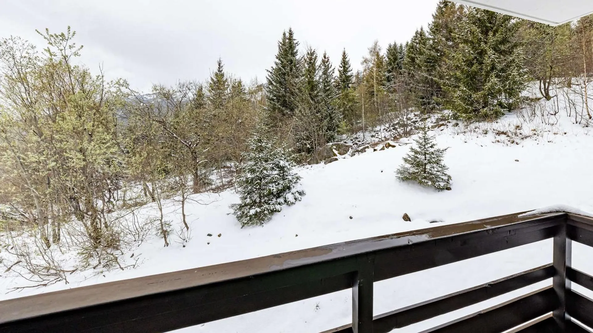 Studio Chaleureux 4 Pers Avec Balcon, Cuisine Equipee Et Tv - Saint-Francois-Longchamp - Fr-1-807-50 0*,